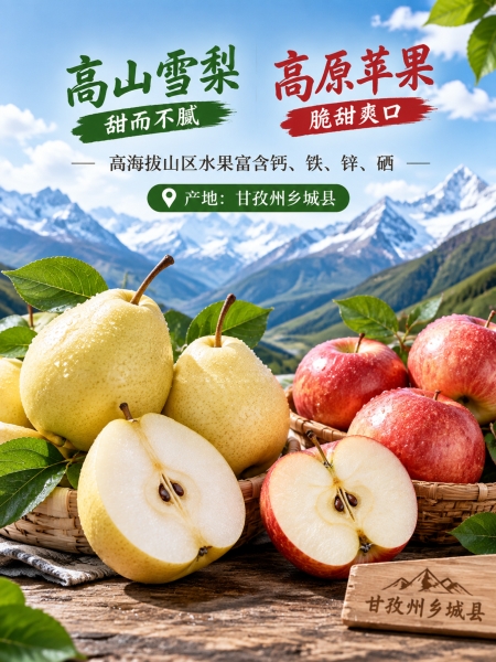 案例图片